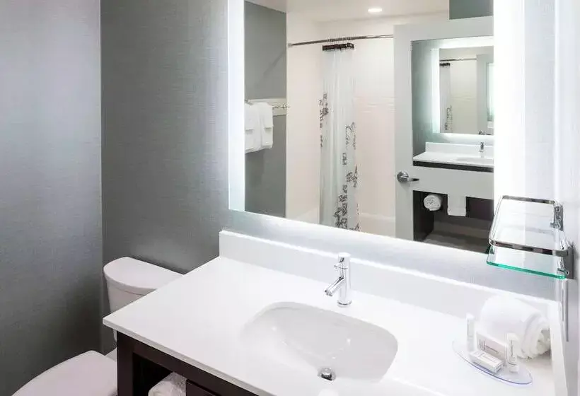 Fotos del hotel Residence Inn By Marriott Near Universal Orlando:  39