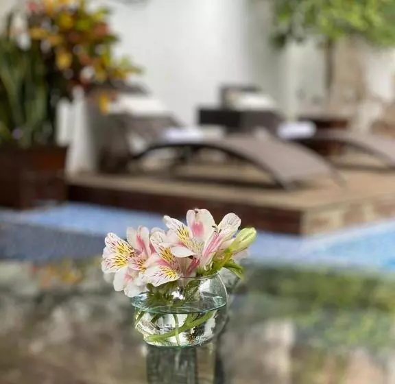 Fotos del hotel Hacienda De Guadalupe:  7