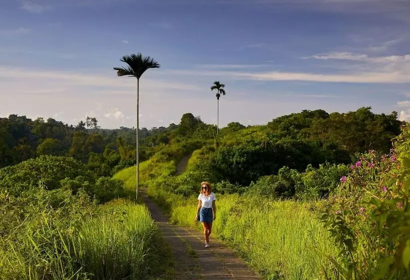Fotos del hotel Element By Westin Bali Ubud:  19