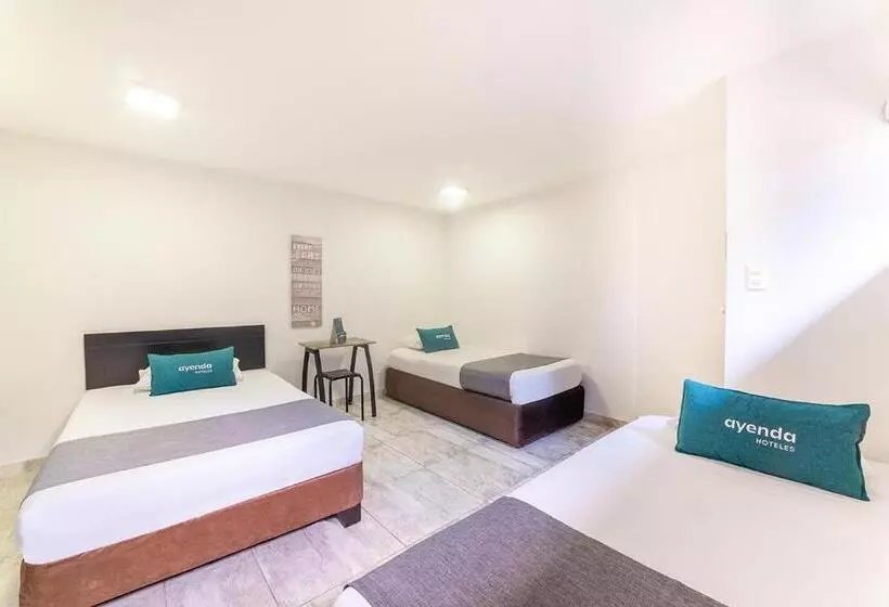 Fotos del hotel Ruta 65:  5