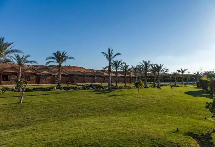Fotos del hotel Xperience Golden Sandy Beach:  20