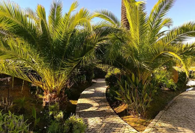 Fotos del hotel Club House Cvl:  11