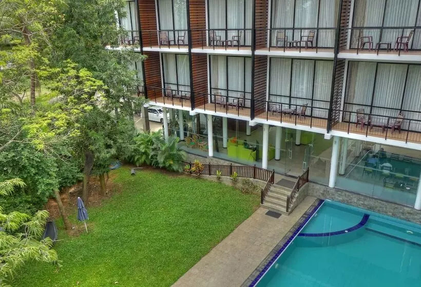 Fotos del hotel The Rain Tree:  6