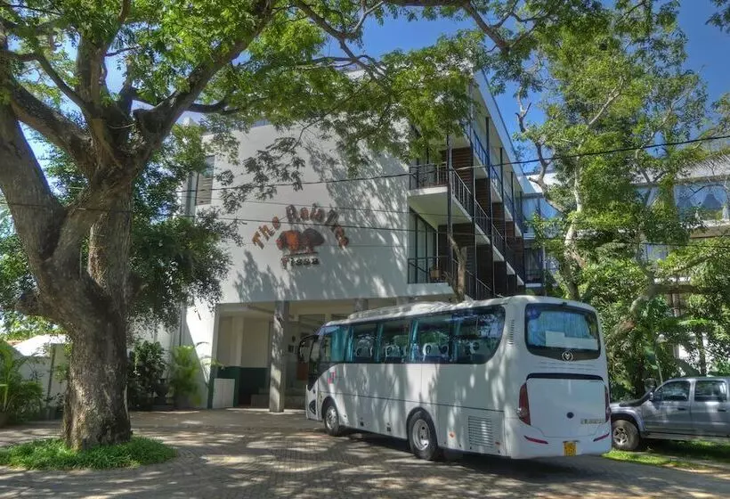 Fotos del hotel The Rain Tree:  13