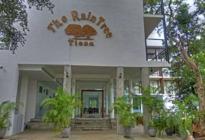 Fotos del hotel The Rain Tree:  2