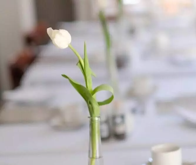 Fotos del hotel Constantia White Lodge Guest House:  11