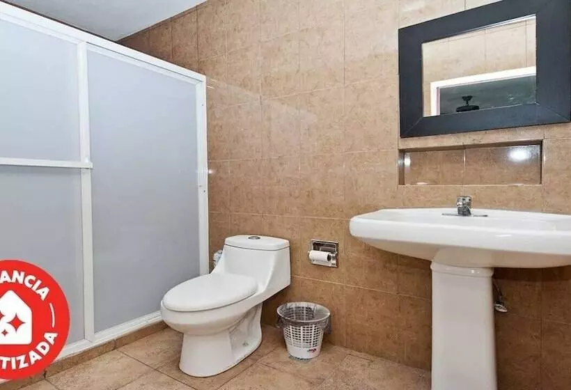 Fotos del hotel Econosuites Monterrey:  7