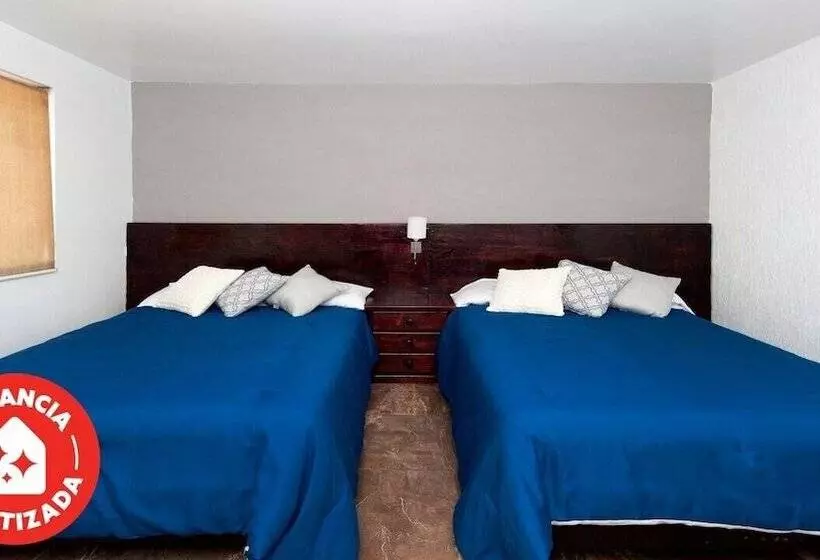 Fotos del hotel Econosuites Monterrey:  13