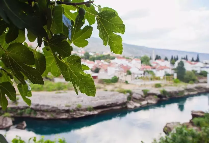 Fotos del hotel Guest House City Star:  4