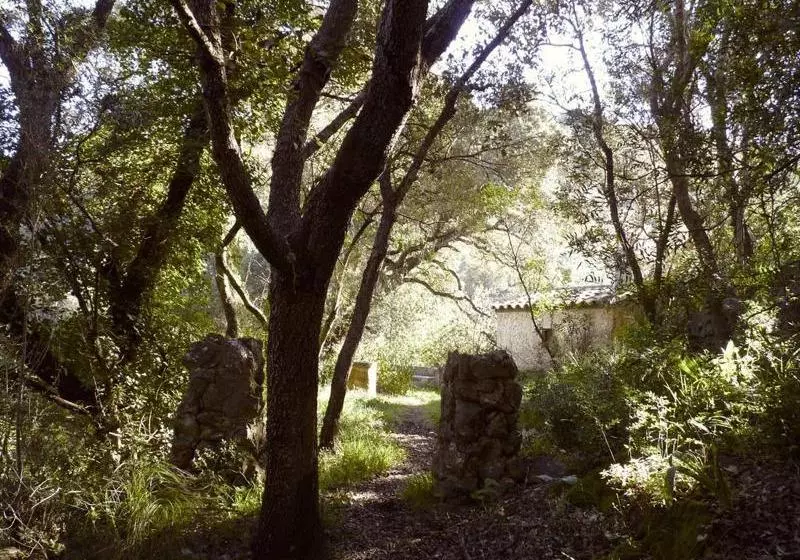 Fotos del hotel Agroturismo Can Torna:  5