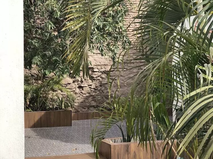 Fotos del hotel Casa 511:  12