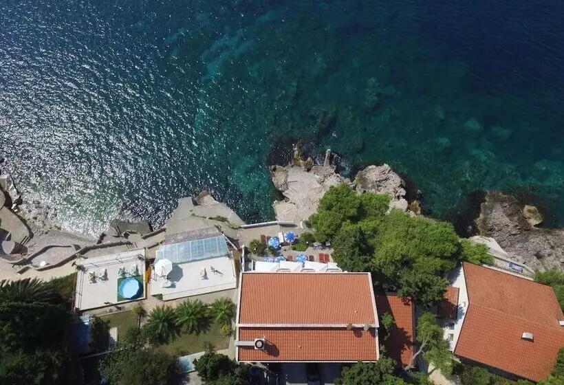 Fotos del hotel Elite Dobre Vode:  18