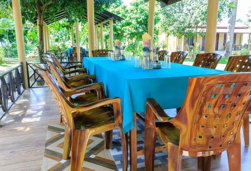 Fotos del hotel Tiger Residency Resort:  17