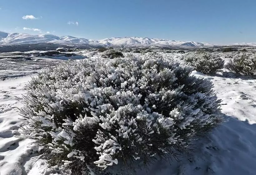 Fotos del hotel El Cerro:  2