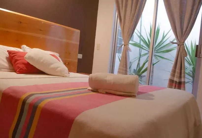Fotos del hotel Axkan Click Suites:  13