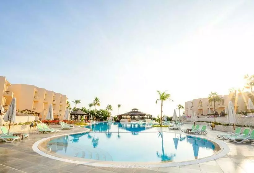 Fotos del hotel Cyrene Sharm Hotel:  10