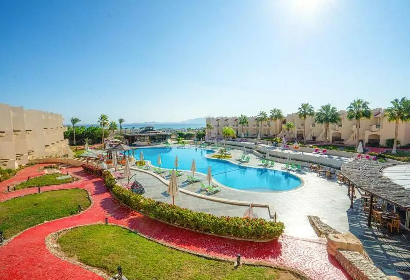 Fotos del hotel Cyrene Sharm Hotel:  14