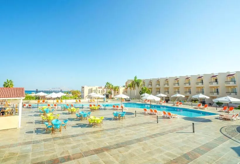 Fotos del hotel Cyrene Sharm Hotel:  17