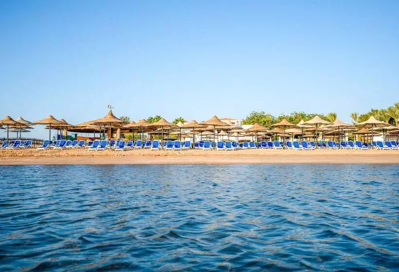 Fotos del hotel Cyrene Sharm Hotel:  22