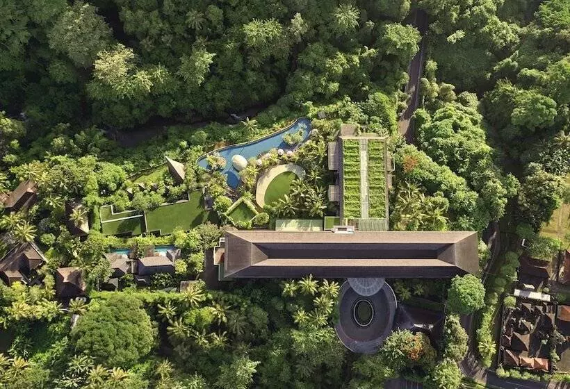 Fotos del hotel The Westin Resort & Spa Ubud, Bali:  20