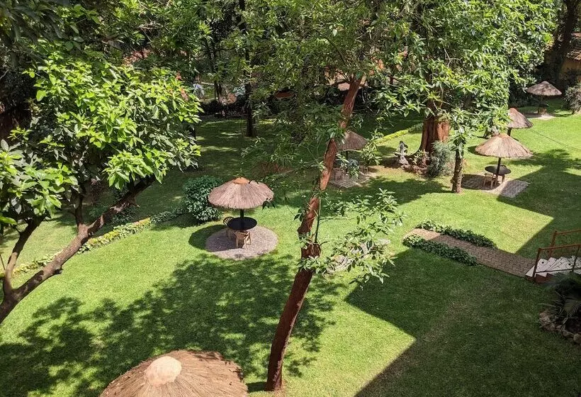 Fotos del hotel Ruch:  17