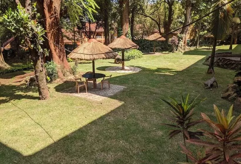 Fotos del hotel Ruch:  14