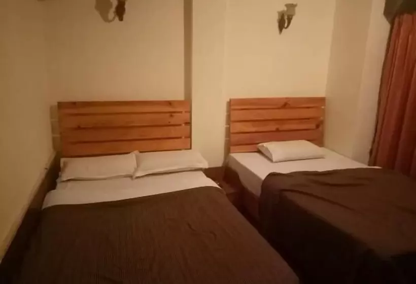 Fotos del hotel Sonam Trophel Inn:  6