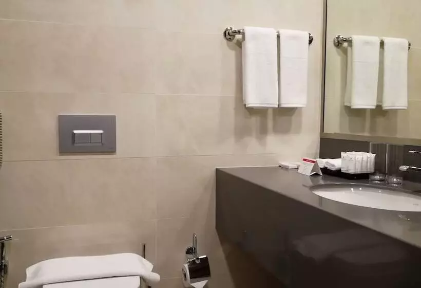 Fotos del hotel Millennium Madinah Airport:  18