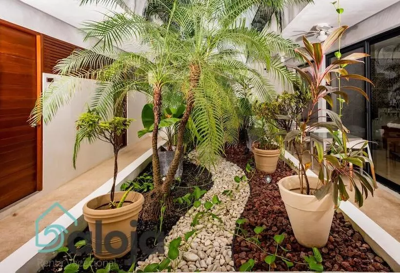 Fotos del hotel Zendero Tulum:  14