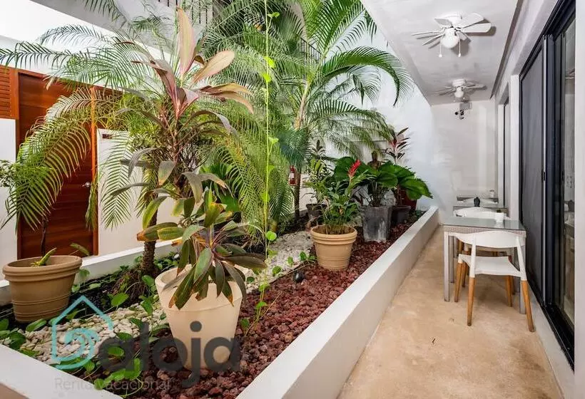 Fotos del hotel Zendero Tulum:  7