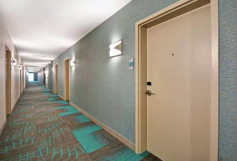 Fotos del hotel Home2 Suites At The Galleria:  11