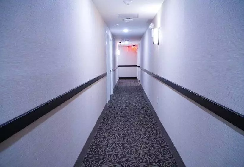 Fotos del hotel Mint Jfk Airport:  4
