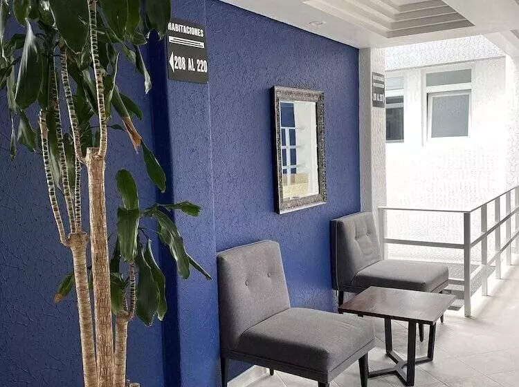 Fotos del hotel Menara:  3
