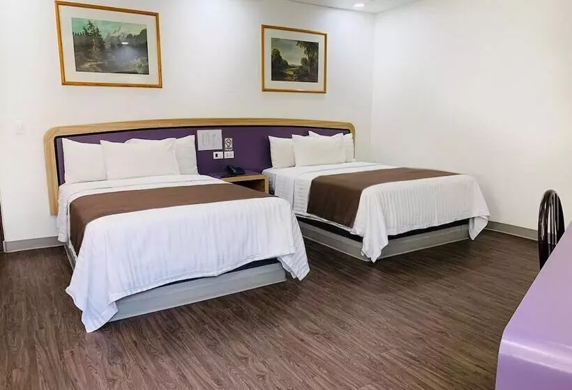 Fotos del hotel Menara:  25