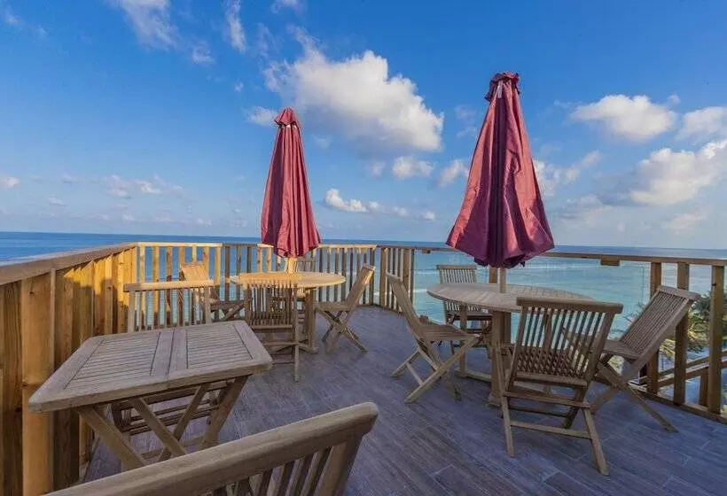 Fotos del hotel Coral Grand Beach & Spa:  5