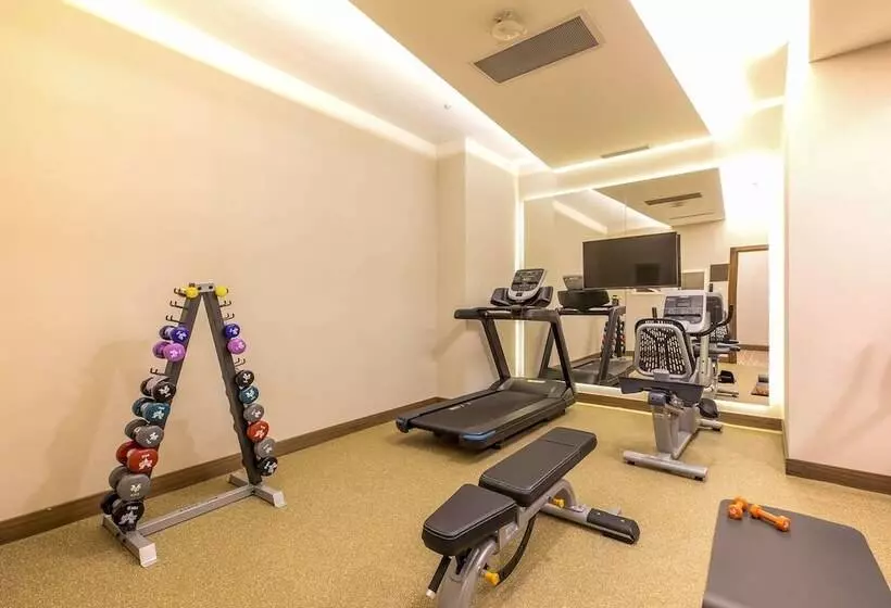 Fotos del hotel Mercure Istanbul Sirkeci:  16
