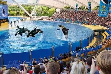 Adonis Pelinor - Santa Cruz de Tenerife