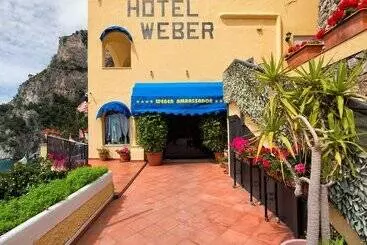 Weber Ambassador - Capri