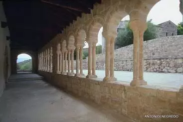 Cardamomo Sigüenza - Carabias