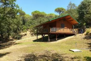 Rustic Cabin In The Woods/cabaña En El Bosque - Amer