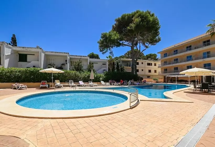 Fotos del hotel Alondra:  12