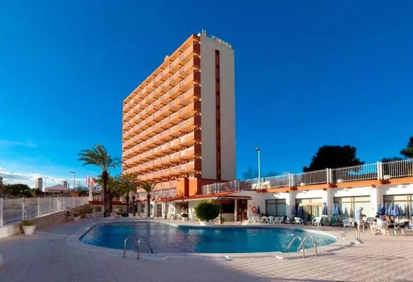 Fotos del hotel Cabana:  2