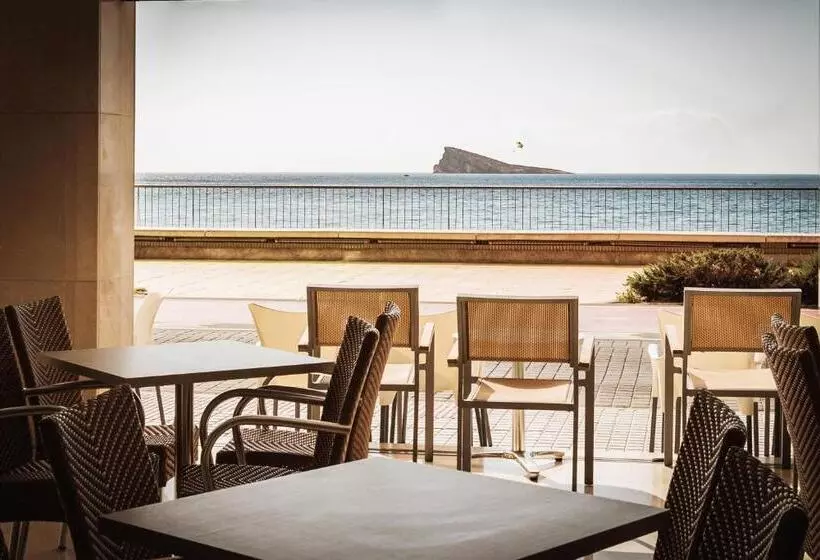 Fotos del hotel Marconi:  2