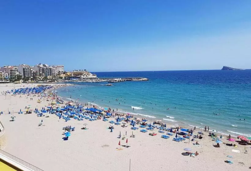 Fotos del hotel Marconi:  6