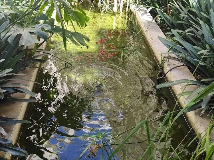 Fotos del hotel Mirador:  3