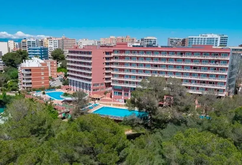 Fotos del hotel Seramar Luna  Luna Park:  21