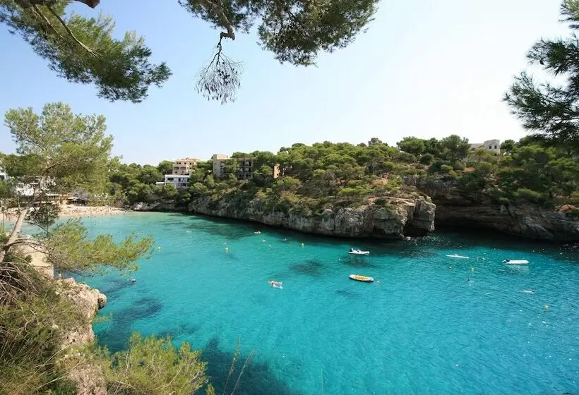 Fotos del hotel Pinos Playa:  9