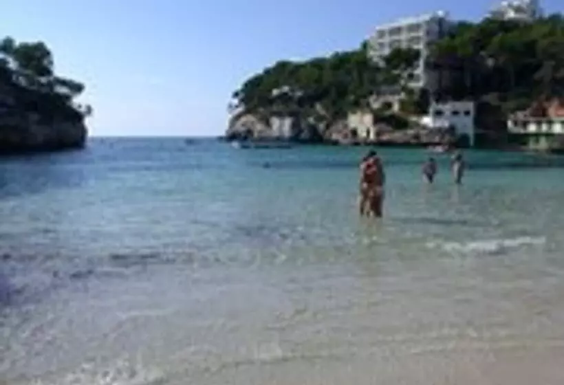 Fotos del hotel Pinos Playa:  11