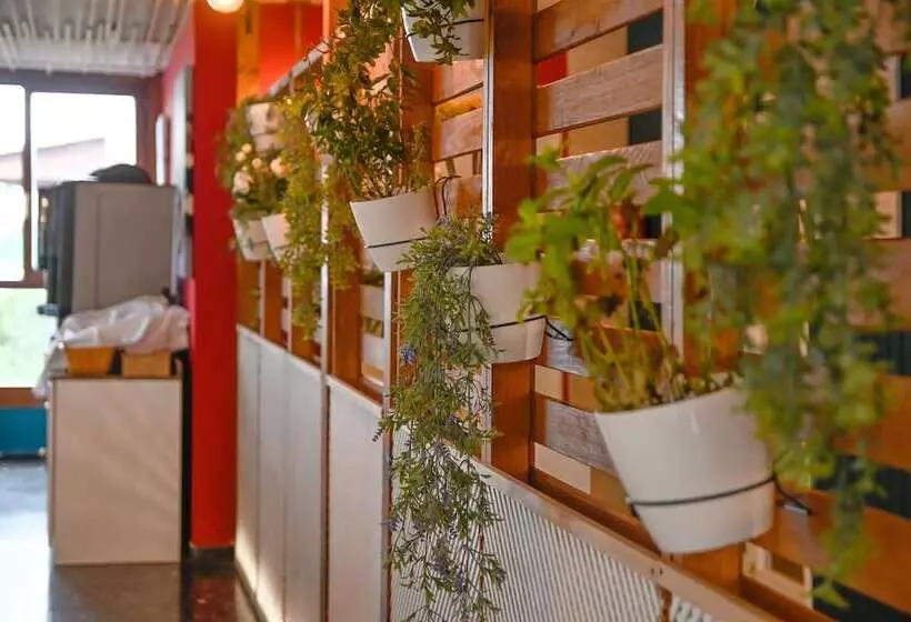 Fotos del hotel Pinos Playa:  3