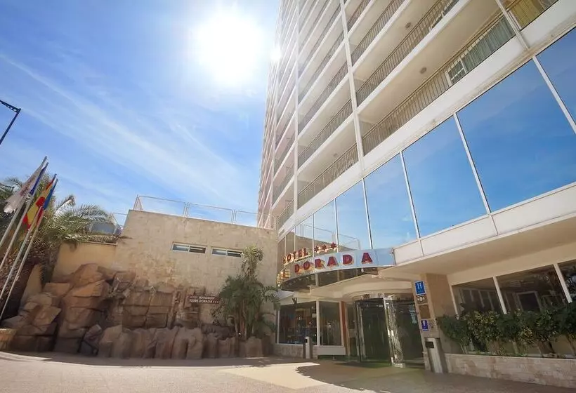 Fotos del hotel Servigroup Torre Dorada:  2